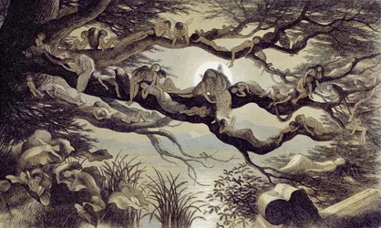 Asleep in the Moonlight